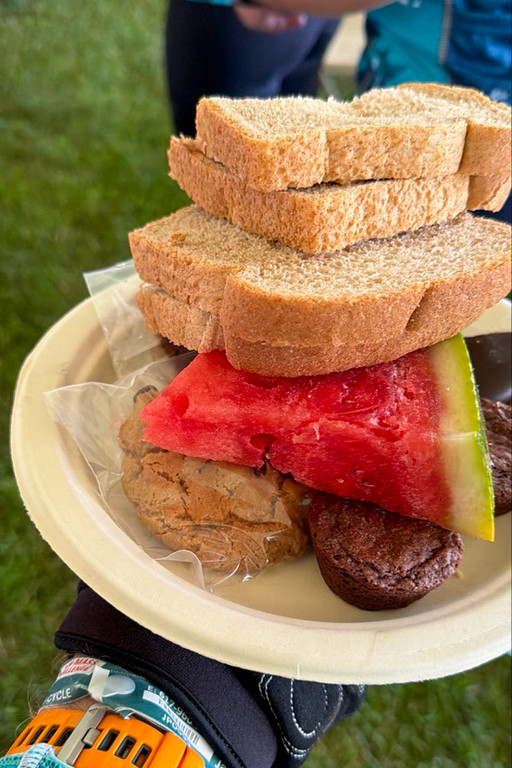 Rest stop plate held in a cycling glove: peanut butter sandwiches, watermelon, cookie, and brownies